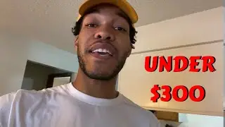 I bought the #1 modern bed frame AND #1 mattress on Amazon for UNDER $300