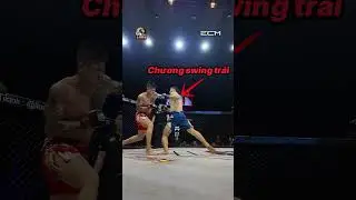 THE CHAMPION'S VISION 🤯