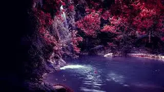 Beauty of Nature   Fantasy   Relaxing   Free HD Videos   no copyright