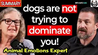 Dogs Are Not Trying to DOMINATE You! | Animal Emotions Expert Karolina Westlund w/ Andrew Huberman