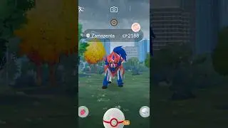 Got hundo Zamazenta💯#shorts #pokemongo #pokemon #hundo #zamazenta #fy #fyp