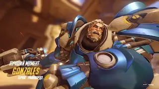 Overwatch Райнхарт