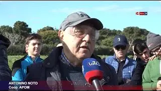 Marsala capitale dell’olivicoltura: successo per il corso di potatura all’Istituto “Abele Damiani”