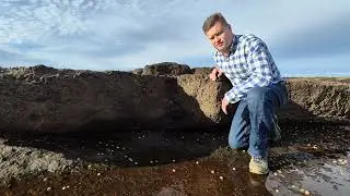 Noah's Flood Fossil Evidence  - O'Hara Island, The Shoalhaven