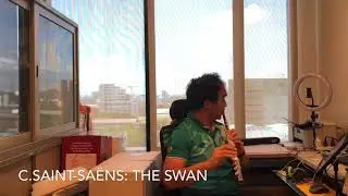 C.Saint-Sa&euml;ns : The Swan, Flute : Patiparn Poonsawad #patiparnp #flute #cover