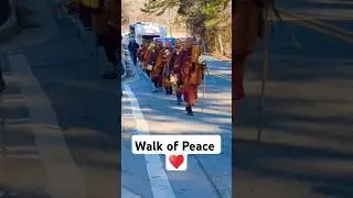 Monks walk for peace in the world #travel #peace #people #usa