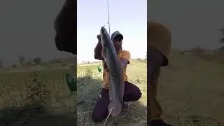giant maral khubsurat