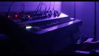 Living sessions #1 | Moog Matriarch, Rhodes Piano, and drums | Electric Rock