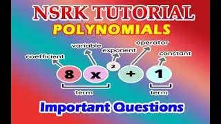 POLYNOMIALS Important Questions | NSRK TUTORIAL