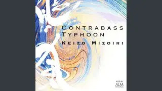 Triplicity for contrabass