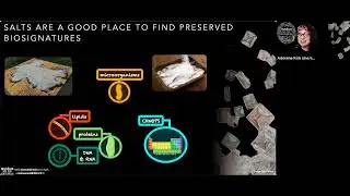 Life with a pinch of salt | EAI Academy 2023-02-22