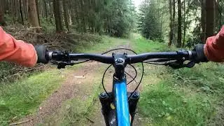 Garage Trail (blue) - Trailcenter Rabenberg - singletrack, MTB trail