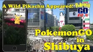 Pokemon GO! in Shibuya! Hatching Lapras!