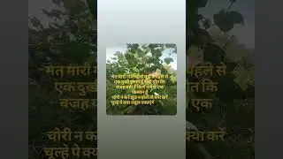 #hindisong #song #hindudeity #indiantour