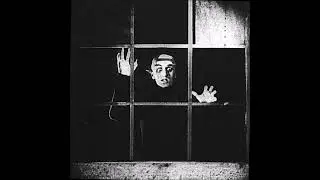 Nosferatu (1922) Retrospective : The Definitive Vampire as Plague-Carrier #nosferatu #MaxSchreck