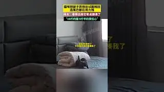 猫咪把被子弄倒后试图推回，连尾巴都在用力推，网友：看得出来它有点崩溃了