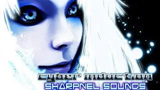 DJ Sharpnel - Cyber Inductance [NB4 1.3x]