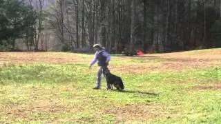 Karen and Anka 11-12-2011.wmv