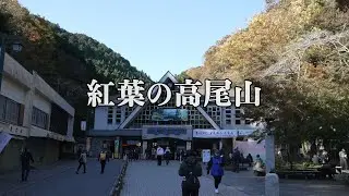 高尾山　もみじ色づき