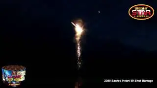 Bright Star Fireworks - 2390 Sacred Heart 49 Shot Barrage