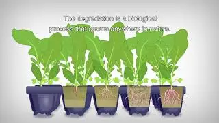 ANIMATION: The biodegradation of the Growcoon explained