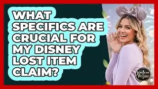 What Specifics Are Crucial For My Disney Lost Item Claim?