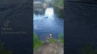 немецкая компания #сургут86