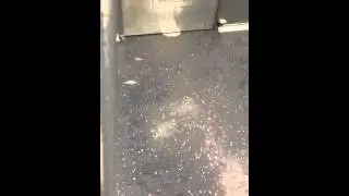 Funny feather on subway