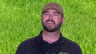 Weed Control | What to Realistically Expect