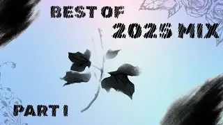 Best of 2025 Mix | Part I