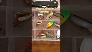 Mepps Spinner Collection Is Growing, #youtubeshorts #shorts #fishing #viralvideo #outdoors #mepps