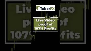 107% trading performance made while using ToborFx Robot!