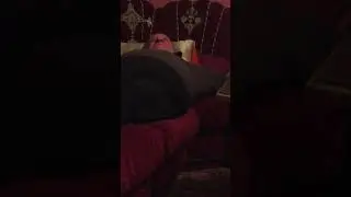 Mohammed VI n'est pas le p&egrave;re de Moulay Hassan, selon Skirej