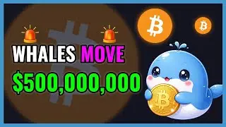 Crypto Whales Just Moved 500,000,000!🚨WHALE ALERT