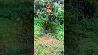 Which is your favourite place in Alwar 🦚🕊️✨