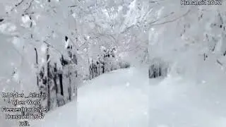 DJ Cyber _ Atlantis - When World Freezes(Hardstyle)Humanoid 2647 Edit.