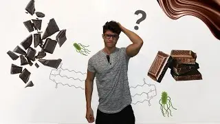 &iquest;Puedo comer este chocolate? &bull; Fat Bloom & Sugar Bloom &bull; Defectos del Chocolate