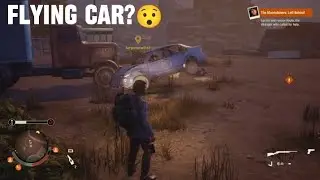 WEIRD Glitches In State Of Decay 2