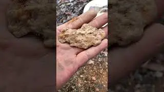 Life-Changing Gold Nugget!