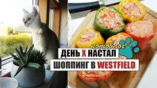 ФАБИАН | ПРОЩАЙТЕ БУБЕНЦЫ | ШОППИНГ С ПРИМЕРКОЙ | ФАРШИРУЕМ ПЕРЦЫ