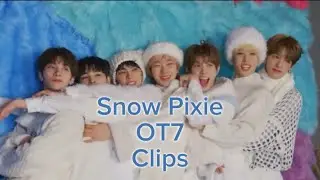 OT7 Snow Pixie Clips ❄️ 