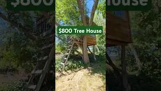 This $800 Tree House Chokes Me Up Every Time #diy #treehouse