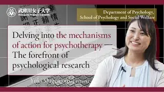 Delving into the mechanisms of action for psychotherapy ―The forefront of psychological research