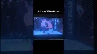 Adi Lupse VS Dan Blondu