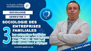 sociologie des entreprises familiales - 3 Les entreprises familiales comme terrain sociologique...