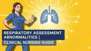 Respiratory Assessment Abnormalities 🔎 | Clinical Nursing Guide #BScNursing #RespiratoryAssessment