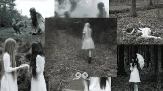 ꒰ঌ Lost in Forest/Sensitive Doll Playlist ໒꒱