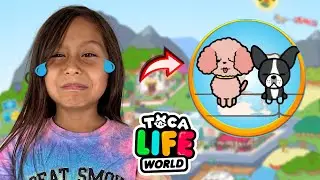Os Nossos Cachorros Fugiram de Casa! ToCA WORLD