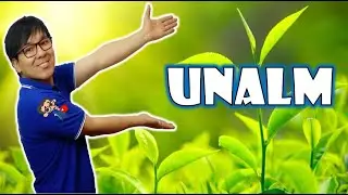 CONFIRMADO - NUEVA ESTRUCTURA DEL EXAMEN DE ADMISION UNALM 🧐 💚😍💚