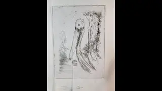 Super Shorts! Drypoint Etching Pelican and Printing with Akua Van Dyke Brown Ink